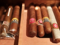 Cigar03